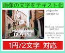 2文字1円！画像、写真の文字をテキスト化します 日本語、中国語、手書きもOK！PDF、資料、画像の文字起こし イメージ1