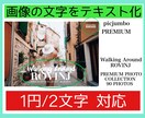 2文字1円！画像、写真の文字をテキスト化します 日本語、中国語、手書きもOK！PDF、資料、画像の文字起こし イメージ1