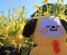 東京・神奈川・千葉で写真撮影します 他撮りの写真が欲しい！という方にピッタリかもです イメージ4