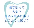 医学部や歯学部の様子お伝えします 国立医学部(編入学)・歯学部の様子を知りたい方へ イメージ2