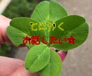 くだらない話でもok！お話聞かせて頂きます あなたの気持ちに寄り添います(*´ω｀*) イメージ1