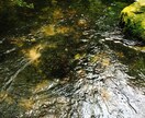 彼の氣持ちと流れをタロットと霊視で視ます ご依頼から24時間以内に回答致させていただきます。 イメージ2