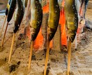 美食を巡る旅で大人の時間を提供します 美食の為に旅に出かける、そんな大人の旅をご提案します イメージ8