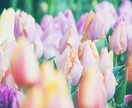 彼と復縁できる？彼の気持ちを直感タロットで視ます 当日返信♡個人情報不要♥️彼と復縁したいあなたに寄り添います イメージ7