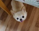 どんなご相談でも！とにかく親身に寄り添います 一人で悩まないで！分かち合いましょう！ イメージ1