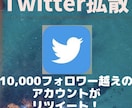 フォロワー１万人越えのアカウントが宣伝します Twitterフォロワー１万人越え▶︎Twitter拡散 イメージ1
