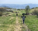 子育てが楽しくなる方法教えます こだわりや褒めるポイントを掴んで子育てをノンストレスに！ イメージ1
