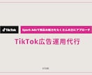 現役PRがTikTok広告運用で商品PRします 【美容特化】TikTok Spark Ads 運用サポート イメージ1