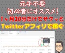 Twitterアフィリエイトの特殊な稼ぎ方教えます 1ヶ月30分だけでOK❗とあるタイミングを狙い打つ裏ワザ手法 イメージ1