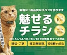 見やすく、訴求力のあるチラシ作ります 折込チラシ、イベント、サークル、事業のチラシを作りたい方へ イメージ1