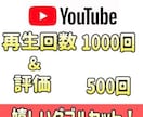 YouTube再生数&評価をまとめて拡散します 1000再生&500評価のダブルセットでご提供します！ イメージ1