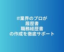 エンジニア転職の履歴書、職歴書を作成します 現役のIT営業マンが、書類通過率アップを徹底サポート イメージ1