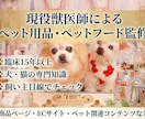 現役の獣医師がペット用品・ペットフードを監修します ペット用品・ペットフードの商品ページや紹介文を厳正にチェック イメージ1