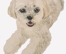 大の愛犬家がワンちゃんの可愛い似顔絵を描きます クレヨンでのあたたかくリアルなタッチです イメージ2