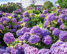 恋愛、結婚、浮気、不倫に付いて相談のります 恋愛、浮気、不倫、一緒に考えます！！きっといい答えが！ イメージ4