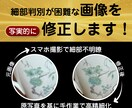 オークション用マクロ写真の精密レタッチ作業します オークション用 購入者が判別できる詳細表現（単枚） イメージ1