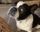 恋のモヤモヤに心理カウンセラーが寄り添います 顔出し不要・匿名OK。どんな恋の話も、ここでなら話せます。 イメージ3