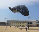 夏休みの自由研究などに便利な理科の実験を提案します 理科の教員を目指す、現役教育学部生がお応えします！ イメージ3