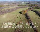 実績多数:初めての北海道旅行、プラン作成します とりあえずのご相談も絶賛受付中！！ イメージ1