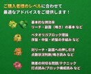 ビデオ通話で麻雀プロ・魂天が徹底アドバイスします 1半荘￥2,000の最安値！ アドバイス無制限！ 顔出し不要 イメージ3