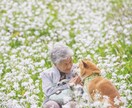 ばあちゃんの知恵袋・じいちゃんの格言を伝えます 日ごろの疑問やお悩みを人生の大先輩に聞いてみませか? イメージ8