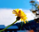感謝の気持ち記念日等感動サプライズムービー作ります 写真や動画にメッセージを添えたサプライズムービー制作 イメージ6