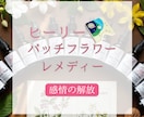 ヒーリーで波動調整します バッチフラワーの波動で感情の解放 イメージ1