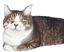 ペットのイラストをデジタルイラストで提供します お写真を頂き、特徴を捉え、忠実に再現いたします！ イメージ4