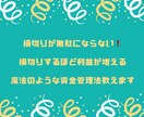 専業FXトレーダーが前代未聞の聖杯手法教えます 専用ツールでのほぼフルオートの楽々エントリーで初心者ok❗️ イメージ6