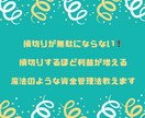 専業FXトレーダーが前代未聞の聖杯手法教えます 専用ツールでのほぼフルオートの楽々エントリーで初心者ok❗️ イメージ6