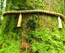 神主による霊視鑑定で霊的波動やエネルギーを視ます 今の波動と環境を視て問題解決の糸口と神からの導きを伝えます イメージ9