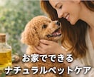 犬猫のためのナチュラルアロマケアをお伝えします ペットの性格・体質に合う香りとケア方法 イメージ1