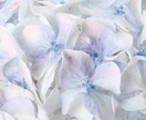 あなたの使命占います 使命を知ることで人生のテーマがわかります イメージ4