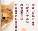 アワード受賞経験者が覆面宿泊！改善点レポートします 宿の魅力を最大化しませんか？クチコミ点数UPしたい方へ イメージ6