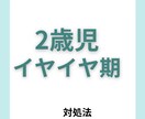 イヤイヤ期に悩んでいるママさんの話し聞きます 現役保育士が伝えるイライラしない子育て イメージ1