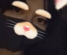 お力になりたいです！なんでもお話しを聞きます 恋愛相談や話を聞くだけも！病んだ時聞いてくれる人がいたら！ イメージ1