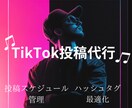 TikTok投稿代行します TikTok投稿代行プラン（忙しい方向け） イメージ1