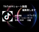 TikTokの動画を高品質でお届けします 依頼者様のイメージ、好みのテイストに合わせて動画作り致します イメージ1