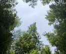ほんの少しの時間でも、あなたのお話何でもききます 今日もおつかれさま♪いつも頑張っているあなたを応援します。 イメージ4