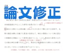 大学・院生向け　博士号取得者が論文の修正をします 《あなたの論文に「説得力」はありますか？》 イメージ1