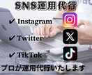 SNS運用代行フォロワー増加＆投稿作成サポートます 「投稿・運用代行でSNSを活かしませんか？」 イメージ1