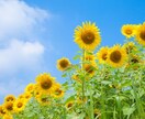 ちょこっとOK！繊細さんのお悩みお聞きします キャパオーバーになる前に。悩みの芽を摘んでいきましょう イメージ9