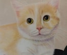 ペットを色鉛筆でリアルに描きます 大切な家族の思い出、記念にいかがですか イメージ1