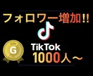 TikTokのフォロワー『1000人』増やします SNS活動、伸び悩んでいませんか？是非お力にならせて下さい！ イメージ1