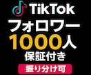 TikTokのフォロワー1000人増やします コスパ抜群！高品質のフォロワーをお届けいたします。 イメージ10