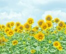 もう嫌だ！職場の人間関係の辛い気持ち寄り添います 人間関係|仕事|アドバイス|転職|ハラスメント|板挟み|給料 イメージ3