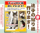 突然のペット迷子！でも大丈夫！迷子チラシ作ります 貼り紙をセブンイレブンで即印刷出来るよう手配致します! イメージ2