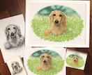 ペット肖像画A3【犬・猫胸から上】をお描きします ご満足いただけるまで修正無制限。心を込めてお描きいたします。 イメージ10
