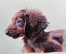 アクリル絵の具で動物を描きます 動物画（ペット）、食べ物などの絵をリアルに イメージ1