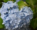 幸せを見つけるヒント❀/人生の悩み解決します ❀日常に溢れている小さな幸せを見つけるヒントを差し上げます❀ イメージ2